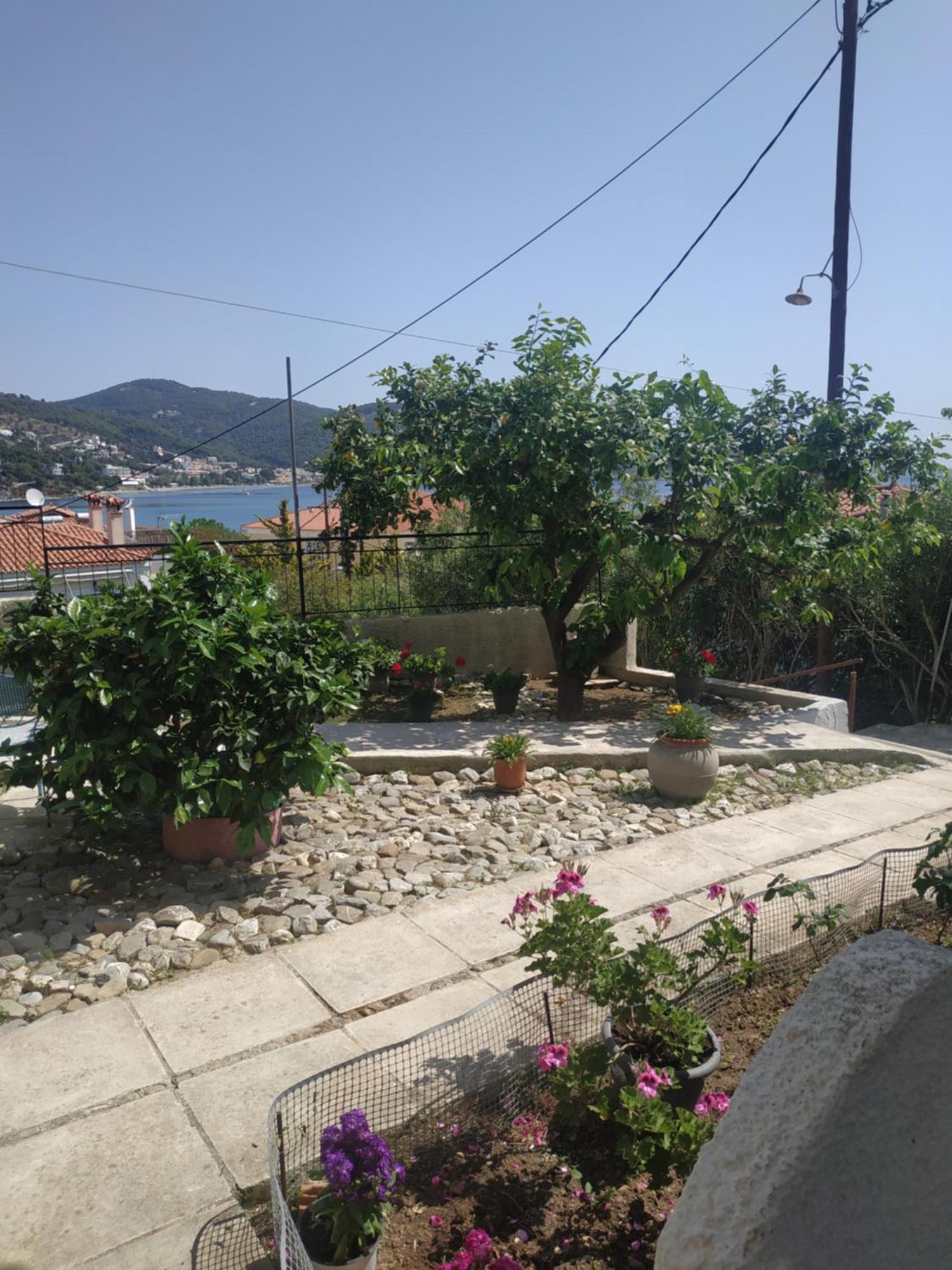 Elthimias2 Apartment Poros Town Luaran gambar